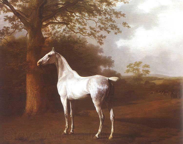 Agasse, Jacques-Laurent White Horse in Pasture Germany oil painting art